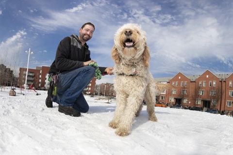 Ruffin' It dog photo 10