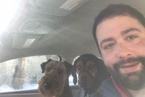 Ruffin' It dog photo 30